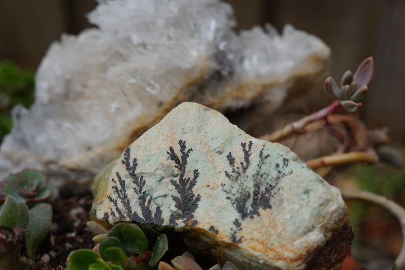 Alchemy Garden Projects