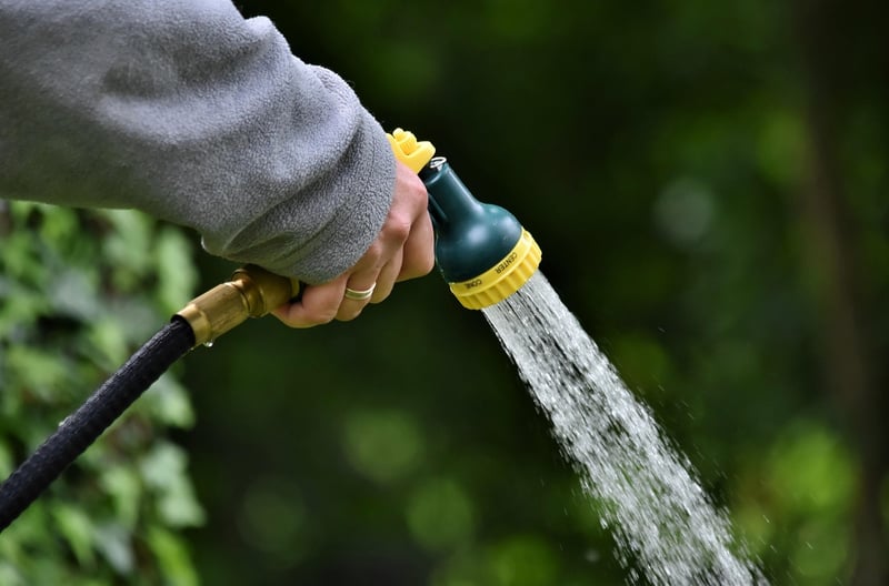 Magical Garden Tools
