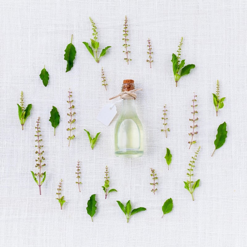 Herbology Workshop